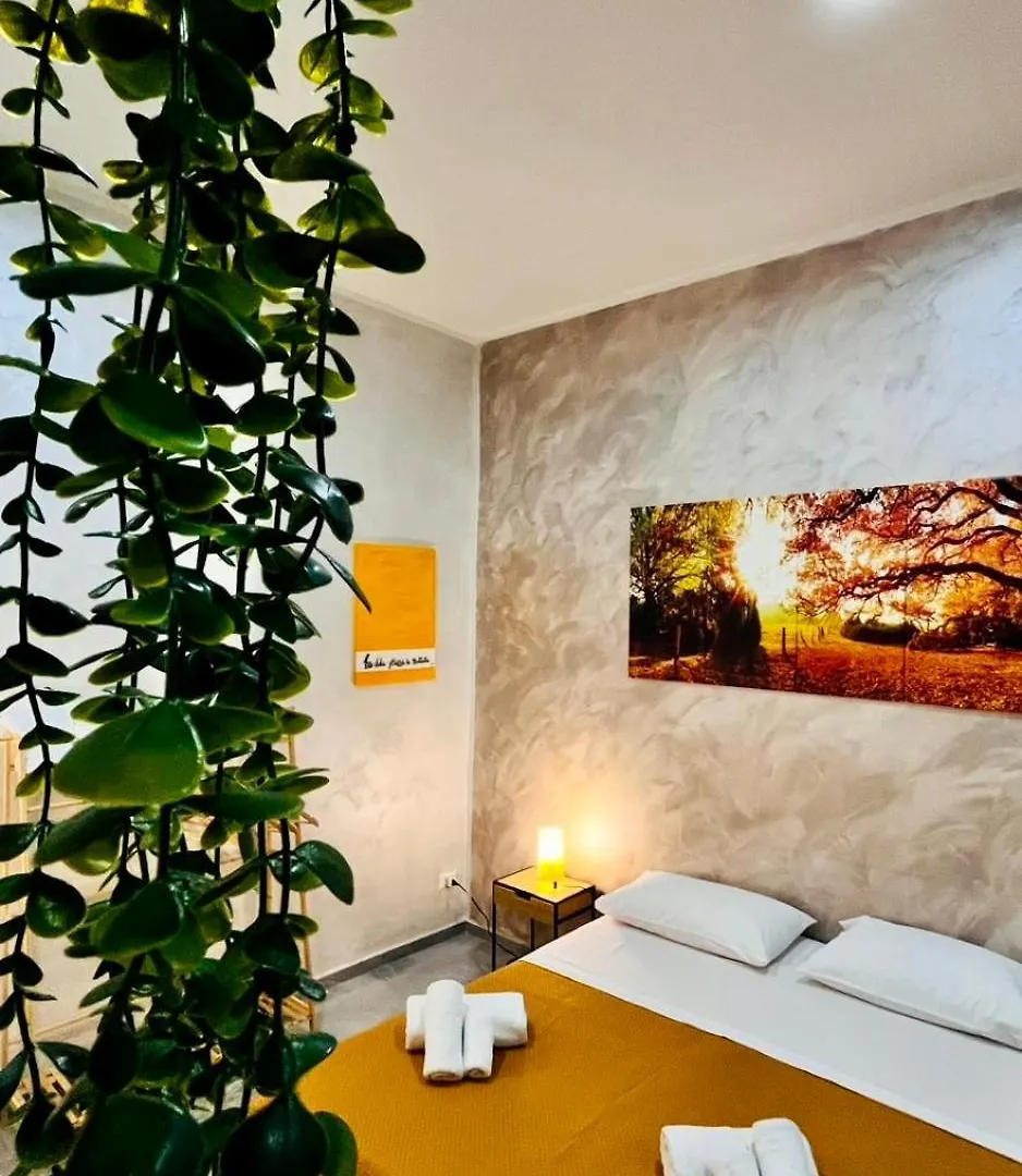 Evans Housee Naples